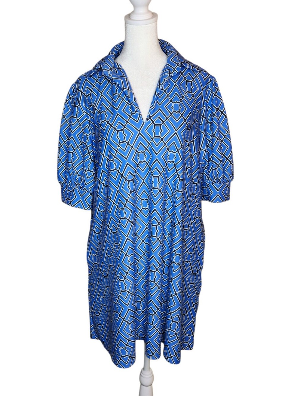 Jude Connally Emerson Dress in Garden Lattice French Blue Size Medium